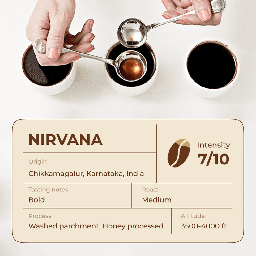 Nirvana Espresso Pods - Intensity 7/10 | Nespresso Compatible | Medium Dark Roast | 100% Specialty AA+ Beans | Aluminum Capsules view 3
