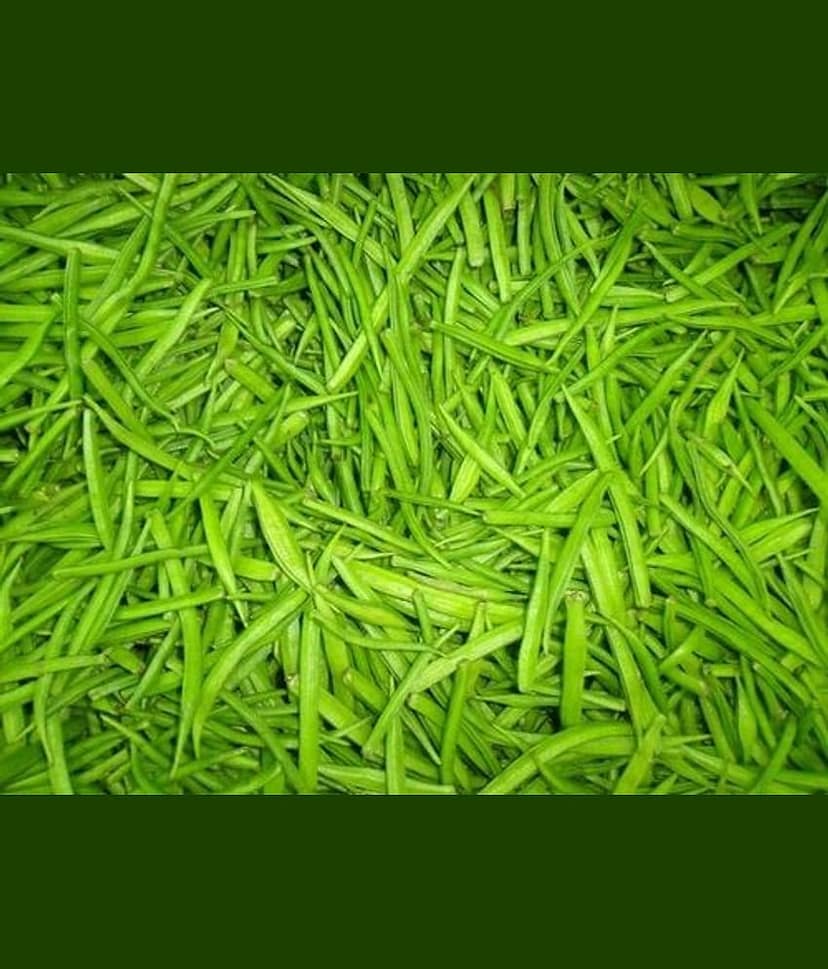 Kannan Enterprises Organic Natural Cluster Bean Seeds 50 Count