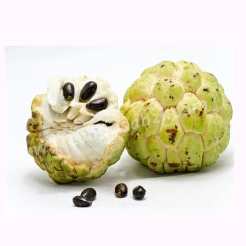 Custard Apple (Semi-Ripe) 500 Gms