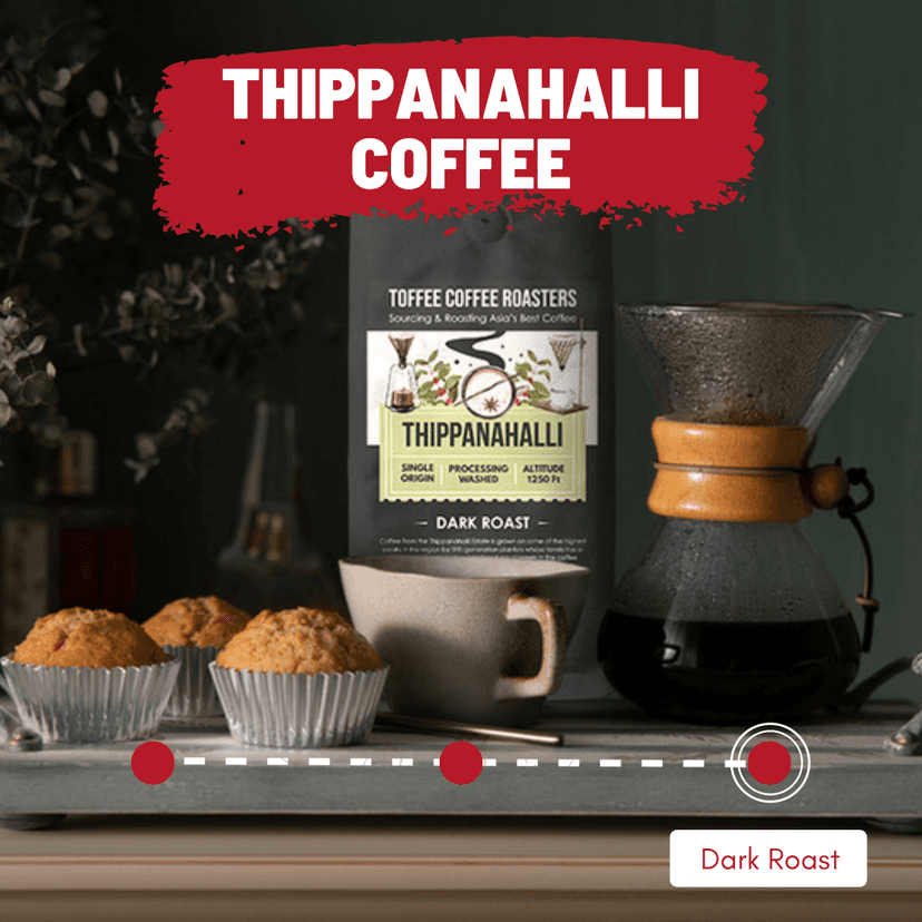 Thippanahalli Estate Coffee view 2