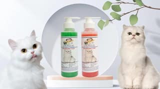 SWACCH Premium Shampoo for Persian CAT (200ML) (Pack of 2) NEEM ALOVERA & Strawberry