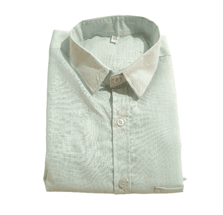 Men's Light Green Shade Cotton Casual Shirt