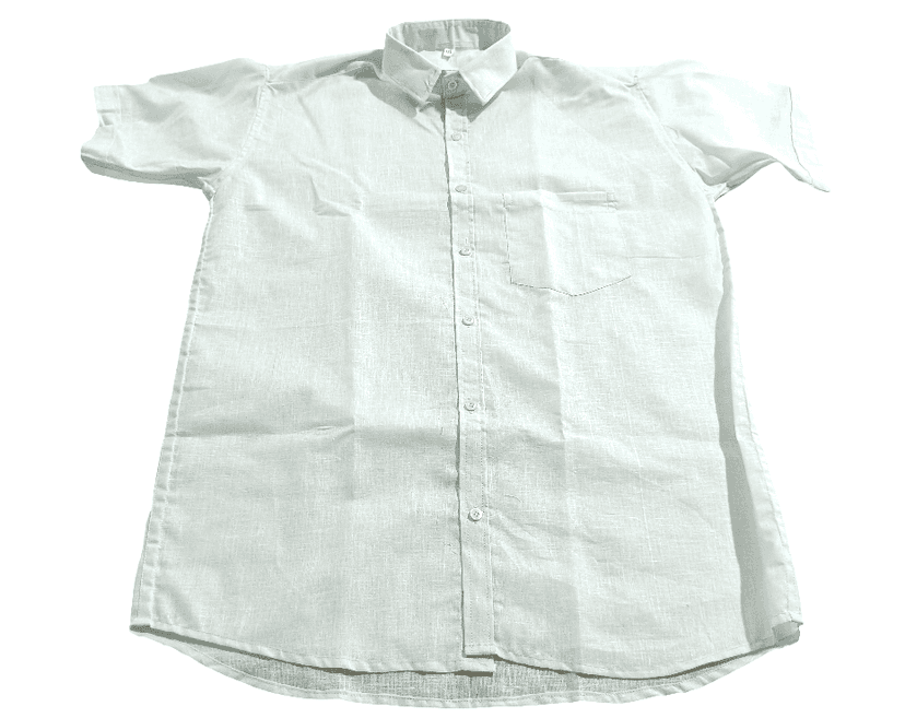 Men's Light Green Shade Cotton Casual Shirt view 3