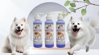 SWACCH Premium Shampoo for Pomeranian (200ML) (Pack of 3) Lavender