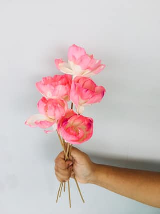 Barbie Pink Sola Flower (5pcs)