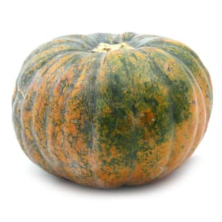 SS PUMPKIN YELLOW