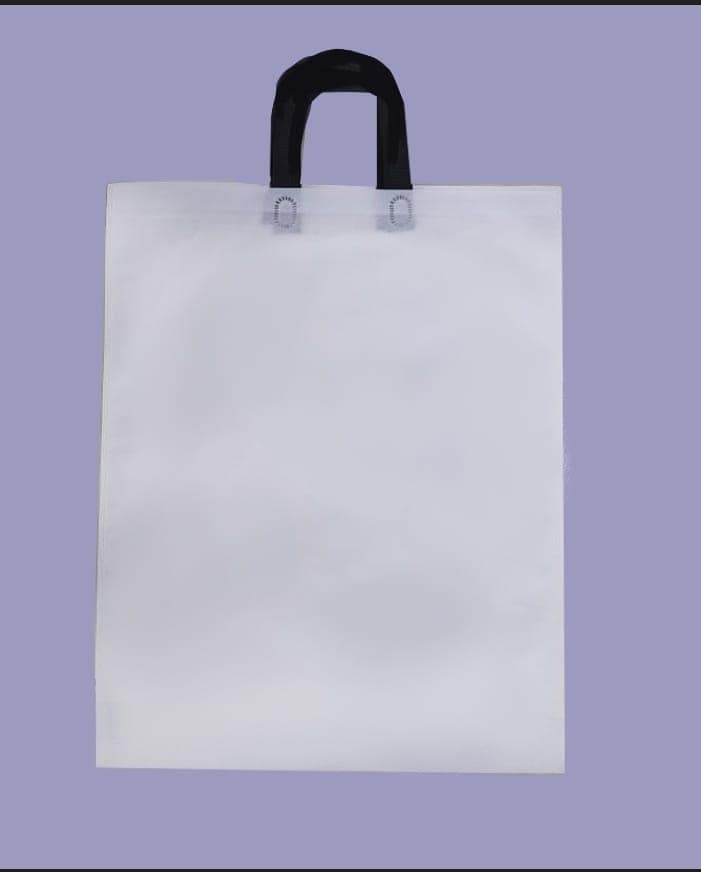 Loop Handle 14x18 (200 Pcs) Non-Woven Carry Bags view 4