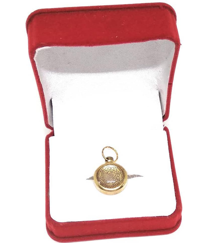 Apna Rudraksha Ashtadhatu Sidh Shri Yantra Locket view 2