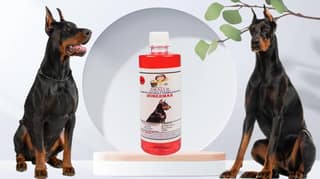 SWACCH Shampoo Specially FORMULATED for Doberman (500ML) Jasmine