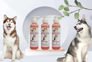 SWACCH Premium Shampoo for Siberian Husky (200ML) (Pack of 3) Jasmine