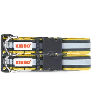 KIBBO - Yellow Collar ( Large )