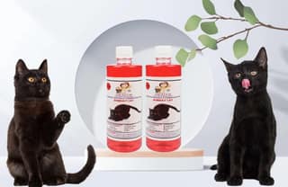 SWACCH Shampoo Specially FORMULATED for Bombay CAT (500ML) (Pack of 2) Strawberry