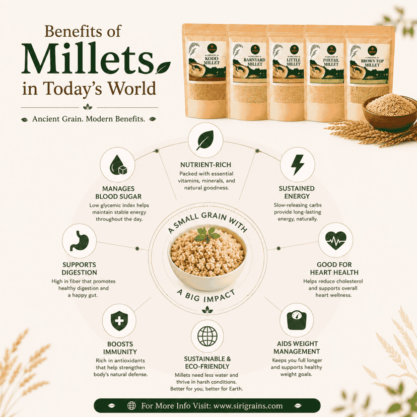 SiriGrains Millet Combo Pack 5kg (5 x 1kg) | Foxtail, Barnyard, Little, Kodo & Browntop Whole Millets | Unpolished Premium Millet Variety Pack view 3