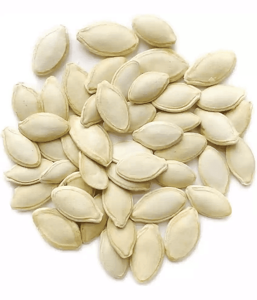 PARTHVA SEEDS Zucchini Vegetable ( 10 Seeds ) view 2