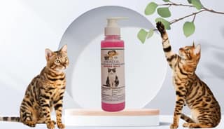 SWACCH Premium Shampoo for Indian Billi (200ML) Rose