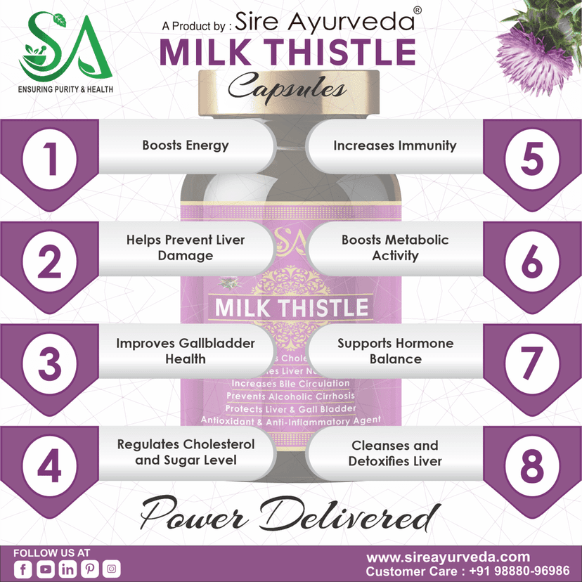 MILK THISTLE (Healthy Liver, Boost Metabolism And Maintain Cholesterol level) view 2
