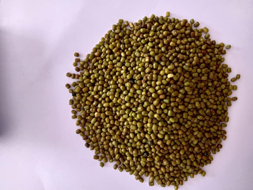 Green Mug Dal 500 gm view 2