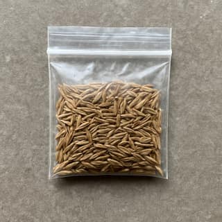Durgavati Corner Store's organic cumin seeds