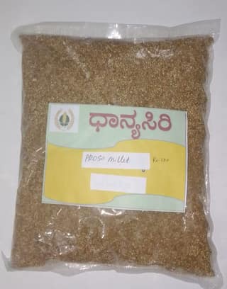 Fresh Bajra Pearl Millet (Sajje) (1 kg)