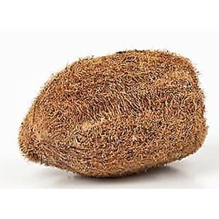 Ekakshi Narial, Astrology, Fengshui, Vastu, Ekakshee Nariyal, Coconut - A Very Rare Lucky Charm