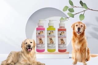SWACCH Premium Shampoo for Golden Retriever (200ML)(Combo Pack of 3) Rose, Lemon & Strawberry