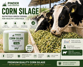 Pinder Chara Sangathan Corn Silage Bale for Cattle Feed - 15 kg