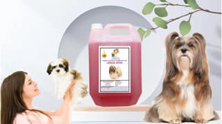 SWACCH Shampoo Specially FORMULATED for Jasmine (Lhasa APSO 5 Litre)