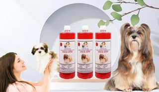 SWACCH Shampoo Specially FORMULATED for Lhasa APSO (1 Litre) (Combo Pack of 3) Strawberry