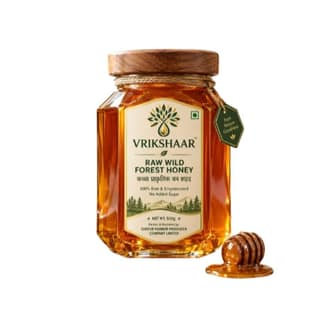Raw Wild Forest Honey - 500 gm - One glass jar