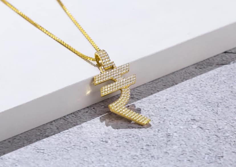 Rupee Bling Pendant | MC Stan Rupees Chain view 8