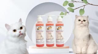 SWACCH Premium Shampoo for Persian CAT (200ML) (Pack of 3) Jasmine