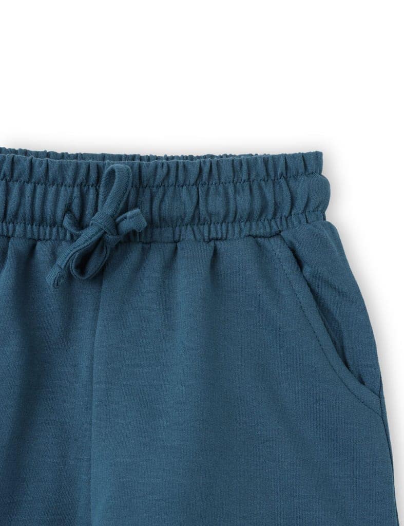 Boys Shorts Cotton French Terry Blue Coral Dino Crossing Zone view 3