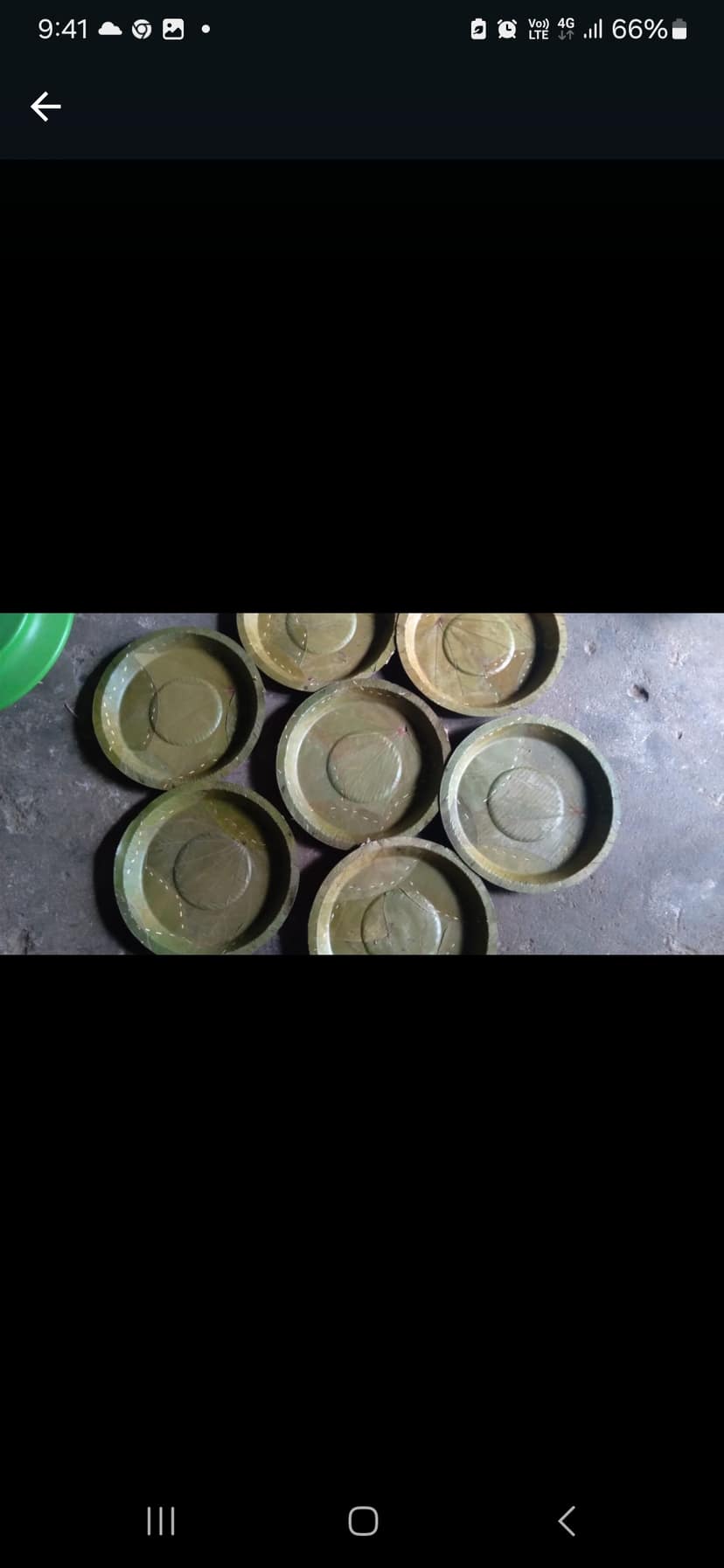 Green Leaf Plates - Siali / Sal view 3