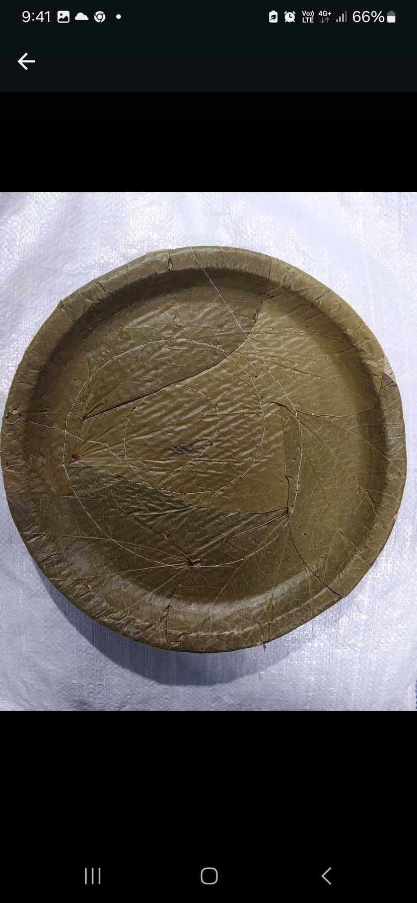 Green Leaf Plates - Siali / Sal view 5