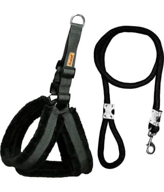Petshop7 - Black Dog Combo (Small)