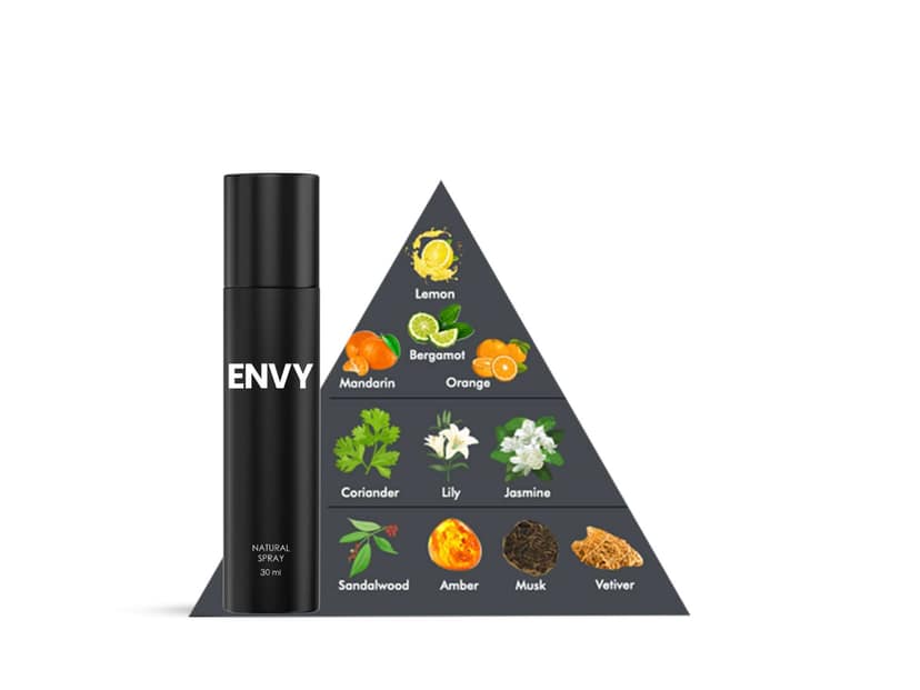 ENVY Natural Spray Perfume for Men - 30ml view 2