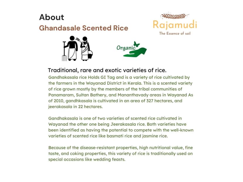 Rajamudi Organics Authentic Organic Ghandhasale Rice - 10 Kilogram view 3