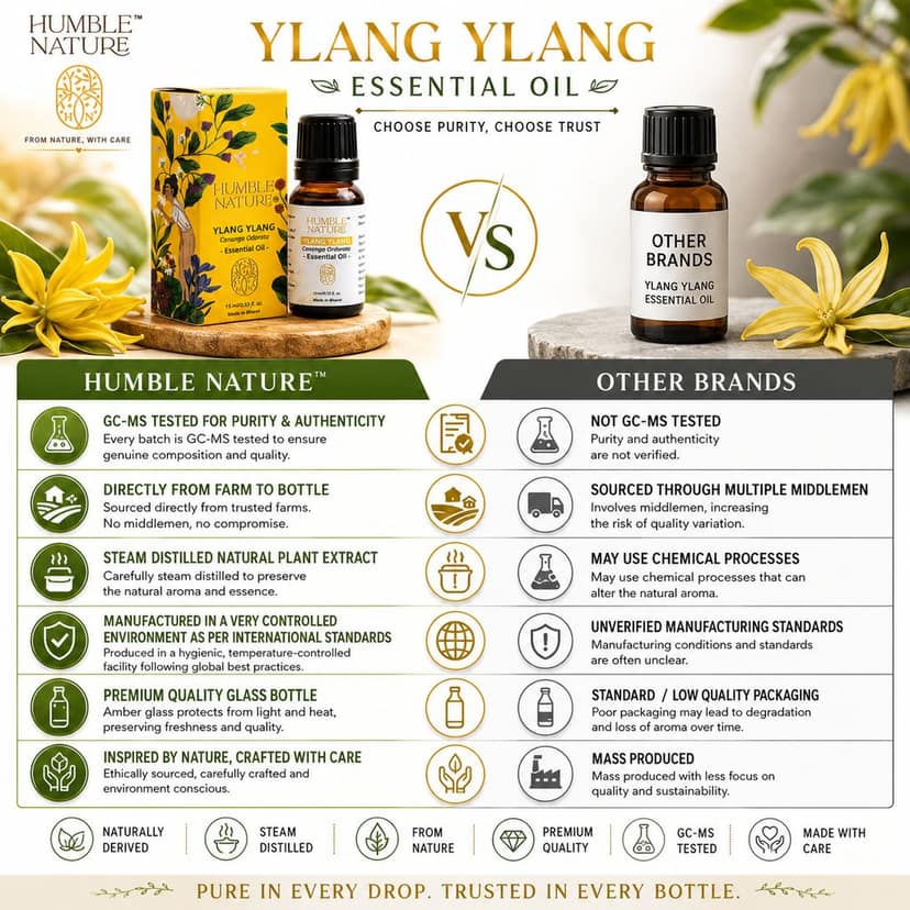 Humble Nature Ylang Ylang Essential Oil 15ml | Steam Distilled Natural Cananga Odorata Oil | Premium Aromatherapy Diffuser, Massage & DIY Skincare Hair Care Oil | GC-MS Tested view 4