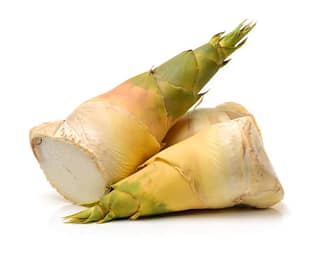 Bamboo Shoot 1 Pack