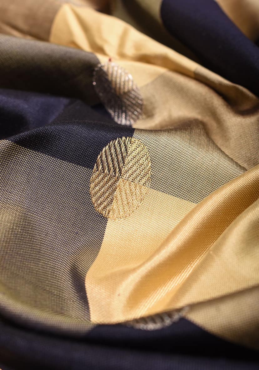 Beige and Black Kanjivaram Pure Silk Saree with Checks and Red Border | SILK MARK CERTIFIED view 3