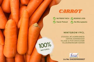 CARROT