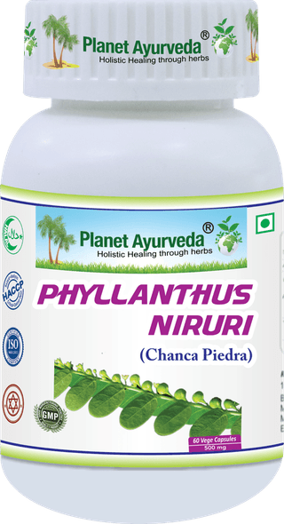 Planet Ayurveda Phyllanthus Niruri (Chanca Piedra) 60 Capsules
