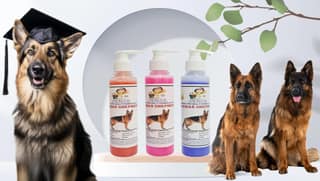 SWACCH Premium Shampoo for German Shepherd (200ML) (Combo Pack of 3) Strawberry, Rose & Lavender