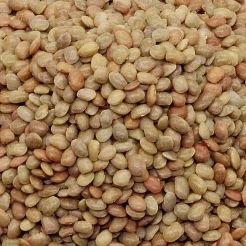 HORSR GRAM ( KULTHI DHAL) view 2