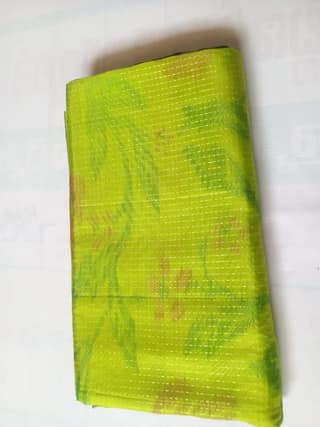 Green Tissue Saree With Silver Zari Work