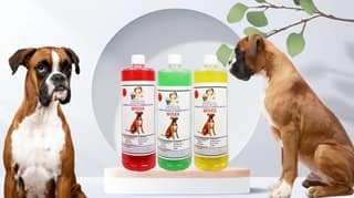 SWACCH Shampoo Specially FORMULATED for Boxer (1 Litre) (Combo Pack of 3) Lemon, Jasmine & NEEM ALOVERA