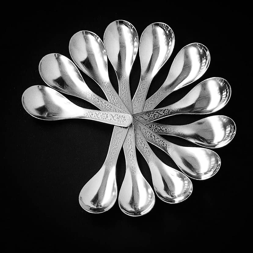 JcyourStore Masala Spoon Set of 12