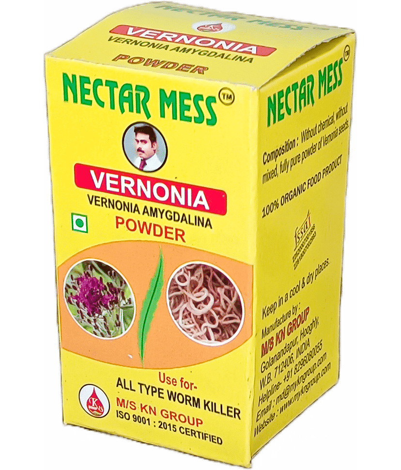 NECTAR MESS 25 Instant Mix 30 gm