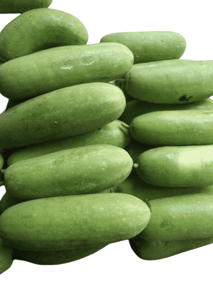 Fresh Organic Bottle Gourd (Lauki) - 1 pcs view 3