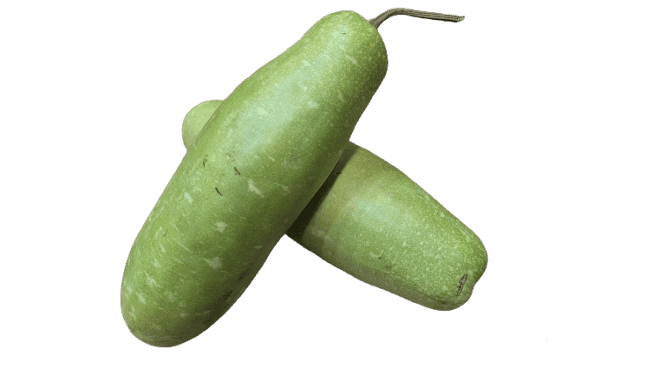 Fresh Organic Bottle Gourd (Lauki) - 1 pcs view 6